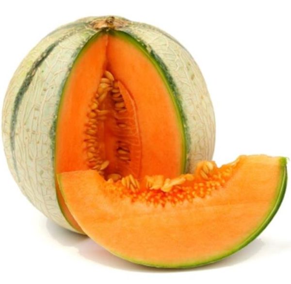 Cucumis melo Charentais (Certificação Orgânica) - Melão Charentais Francês, Melão Divino Francês