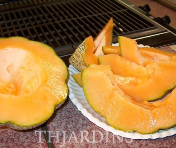 Cucumis melo coração de ouro - Melão Cantaloupe Coração de Ouro - Image 3