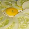 Cucumis melo Lemon Cucumber - Melão Pepino Doce - Image 6