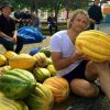 Cucumis melo zugdidi giant certificação orgânica - Melão Gigante de Zugdidi, Melão Gigante Zugdidi, Giant Musk Melon