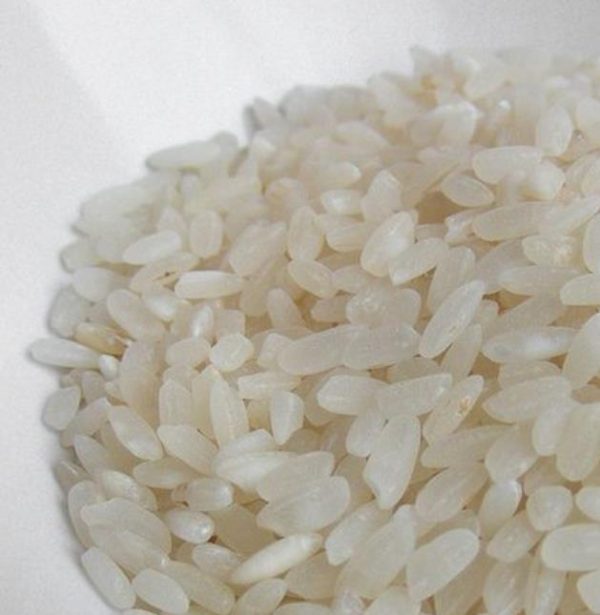 Oryza sativa japonica Koshihikari (certificação orgânica) - Arroz Japonês(variedade: Japônica koshihikari), JAPANESE SUSHI RICE - Image 4