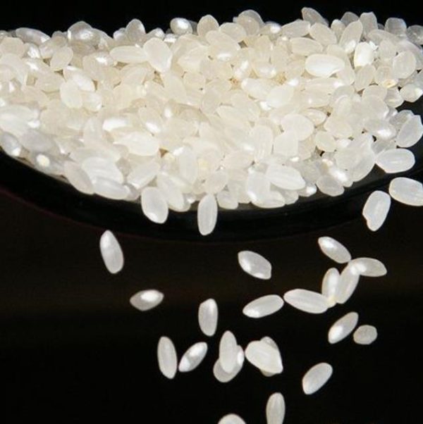 Oryza sativa japonica Koshihikari (certificação orgânica) - Arroz Japonês(variedade: Japônica koshihikari), JAPANESE SUSHI RICE - Image 5