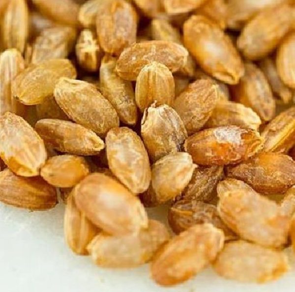 Oryza sativa Akamuro (Certificação Orgânica) - Arroz Akamuro, Arroz vermelho - Image 4