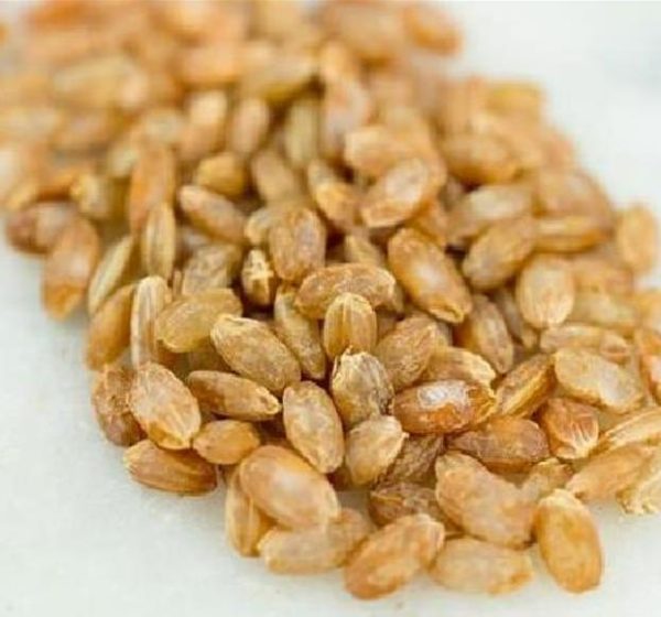 Oryza sativa Akamuro (Certificação Orgânica) - Arroz Akamuro, Arroz vermelho - Image 5