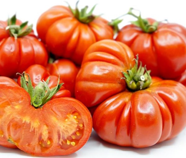 Solanum lycopersicon Costoluto genovese (Orgânico) -  Tomate Costoluto Fiorentino - Image 4