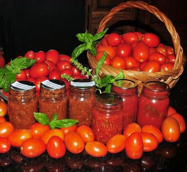 Solanum lycopersicon Roma VF - Tomate Italiano Pomodoro Roma VF, Tomate Pomo d'Oro Roma VF - Image 2