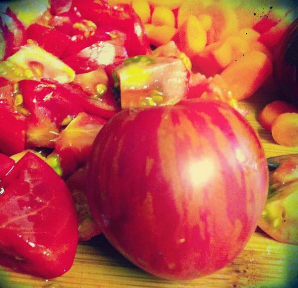 Solanum lycopersicon Tigerella Improved - Tomate Tigrado, Tomate Tigerella - Image 5
