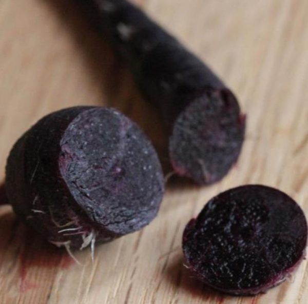 Daucus carota 'Pusa Asita Black' (C. O) - Cenoura roxa-enegrecida interior e exterior, Cenoura negra, Cenoura colorida - Image 8