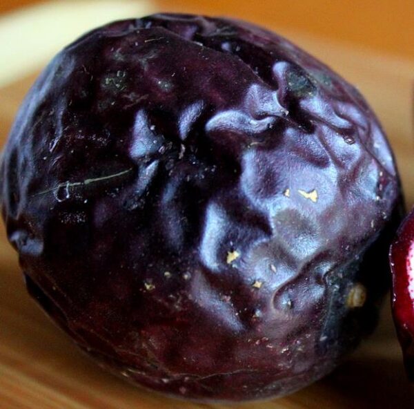 Passiflora edulis 'Purple Giant' - Maracujá Roxo Gigante, Videira da Paixão - Image 2