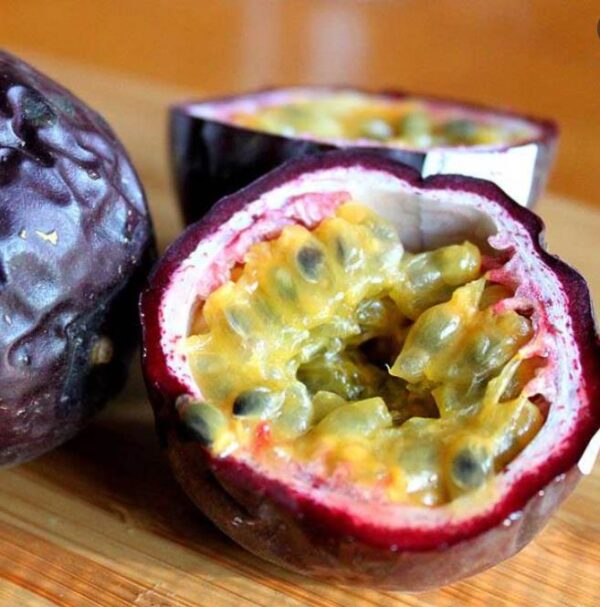 Passiflora edulis 'Purple Giant' - Maracujá Roxo Gigante, Videira da Paixão - Image 3