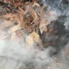Smoke Seed Primer Plus - Super Smoke Plus (Disco de Fumaça para Germinação) - Disco de Fumaça para tratamento e quebra de dormência em sementes - Image 2