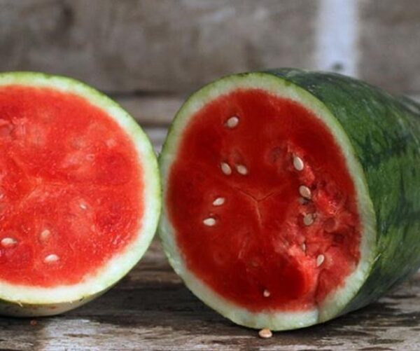 Citrullus lanatus Strawberry - Melancia Morango - Image 2