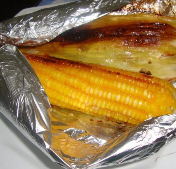 Zea mays Buhl Sweet (C.O.) - Milho Doce 'Buhl' - Image 3