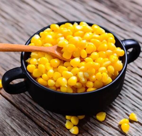 Zea mays Buhl Sweet (C.O.) - Milho Doce 'Buhl' - Image 4