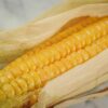 Zea mays Dorinny Sweet (C.O) - Milho Doce Dorinny - Image 2