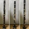 Dalbergia melanoxylon - Ébano Negro, Ebony Africano, Mpingo, African Blackwood, Árvore da Música - Image 12