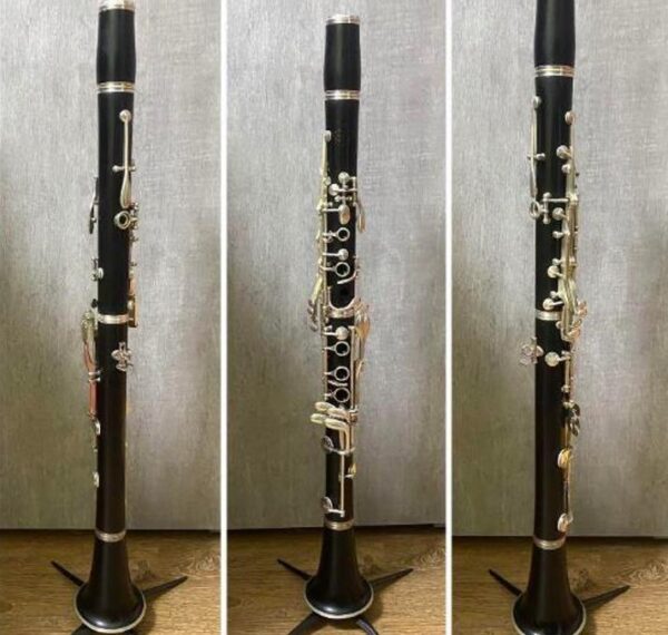 Dalbergia melanoxylon - Ébano Negro, Ebony Africano, Mpingo, African Blackwood, Árvore da Música - Image 12