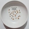 Cercidiphyllum japonicum - Árvore Katsura, Árvore Caramelo - Image 9