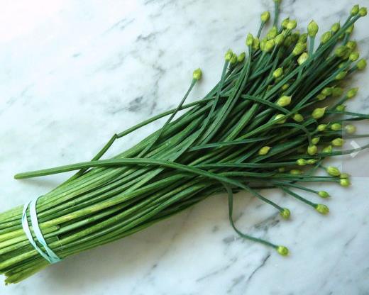 ALLIUM TUBEROSUM (CERTIFICAÇÃO ORGÂNICA) - CEBOLINHA NIRÁ, ALLHO JAPONÊS, CEBOLINHA CHINESA