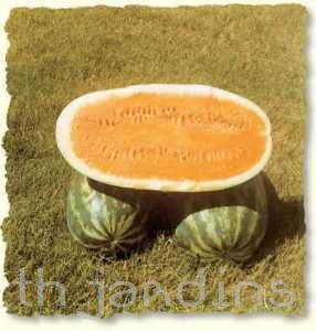 CITRULLUS VULGARIS - MELANCIA TENDERSWEET WATERMELON