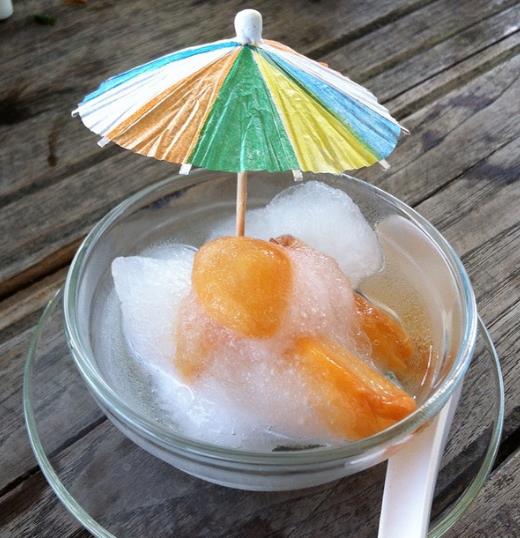 GERMINADAS DE SALACCA WALLICHIANA CV. SALA SUMALEE - PALMEIRA SALAK, PALMEIRA SALACCA DO GRUPO SALA, SNAKE FRUIT PALM