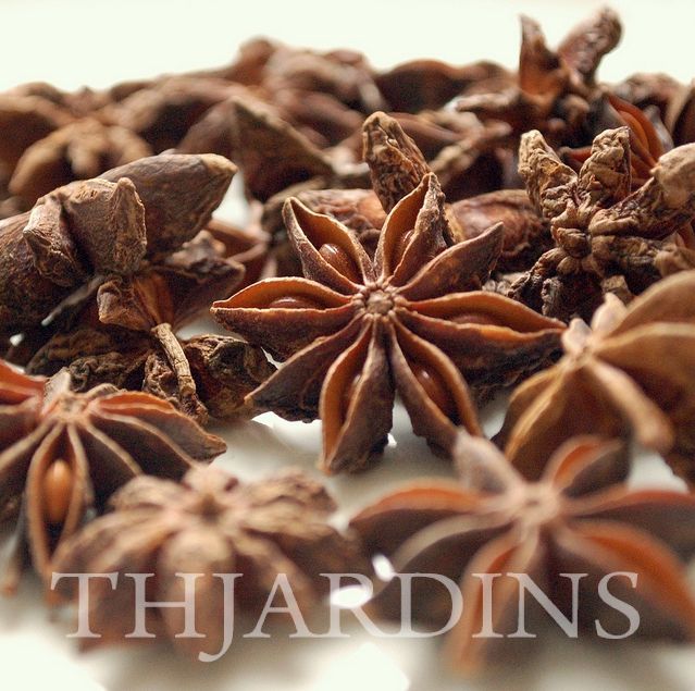 ILLICIUM VERUM - ANIS ESTRELADO