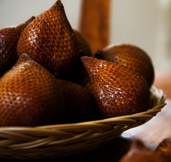 SALACCA ZALACCA - SALAKKA DE BALI, PALMEIRA SALAKKA, SALACCA DE BALI, SNAKE FRUIT PALM