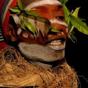 Tabernanthe iboga - Iboga, Árvore da Sabedoria, Árvore do Conhecimento, Ibogaina