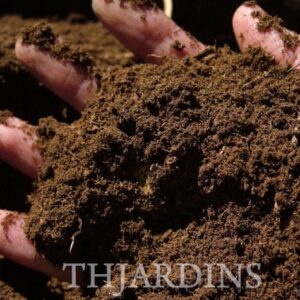 TURFA CANADENSE + PERLITA - SUBSTRATO PARA GERMINAÇÃO
