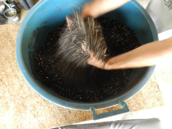 TURFA CANADENSE + PERLITA + VERMICULITA + MINI PRILL - SUBSTRATO COMPLETO