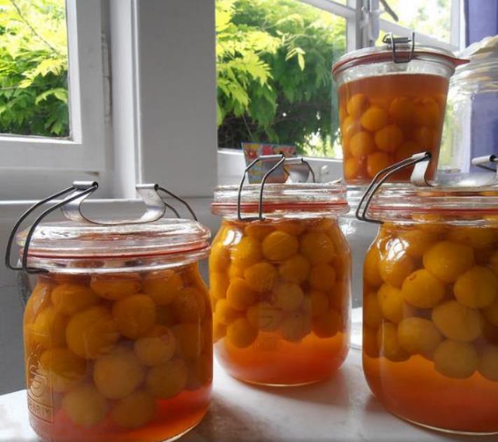 Geoffrroea decorticans - Madeira Verde do Chile, Chanal, Chanar, Chañar - Imagem 5