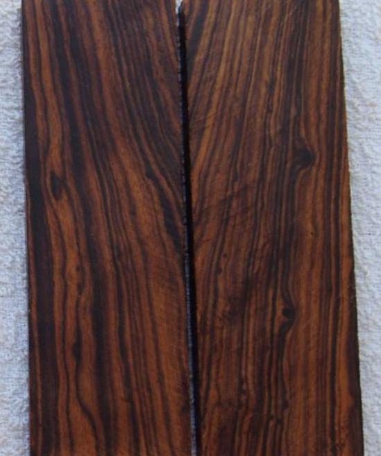 Olneya tesota - Madeira de Ferro do Deserto, Pau-Ferro do Deserto, Desert Ironwood - Imagem 11