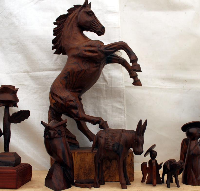 Olneya tesota - Madeira de Ferro do Deserto, Pau-Ferro do Deserto, Desert Ironwood - Imagem 12