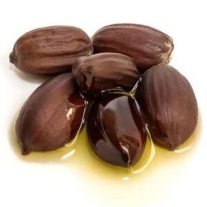 Simmondsia chinensis - Jojoba