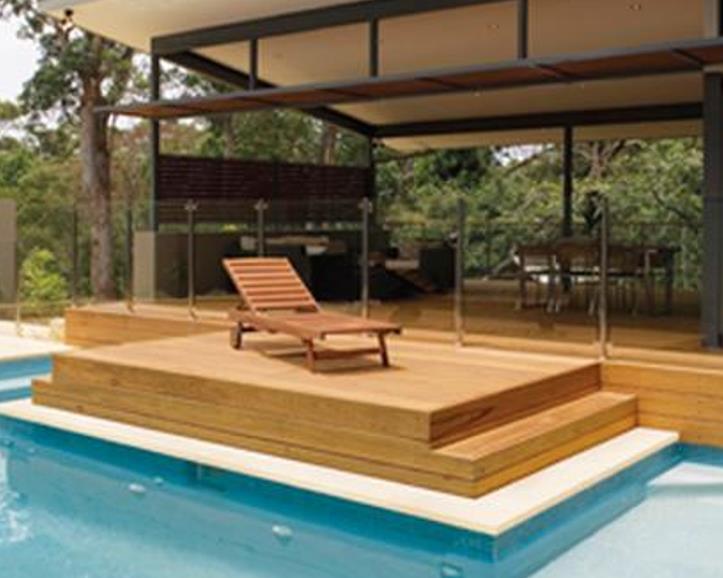 Eucalyptus microcorys - Eucalipto Sebo, Tallowwood Australiano, Eucalipto Microcorys - Imagem 12