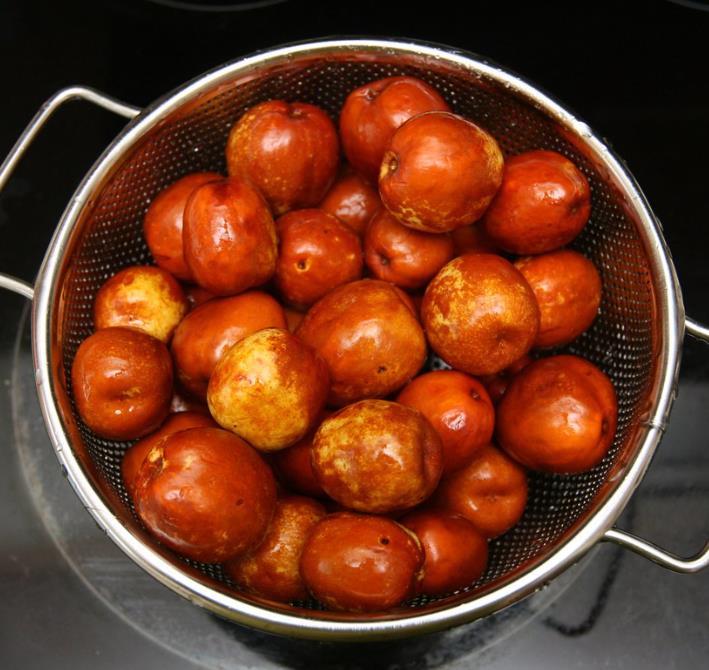 Ziziphus jujuba - Jujuba Chinesa, Jujubeira, Tâmara Vermelha, Tâmara Chinesa - Imagem 10