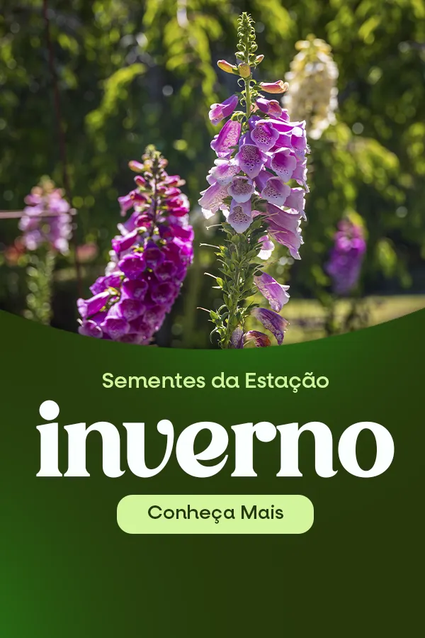 BANNER_MOBILE_INVERNO
