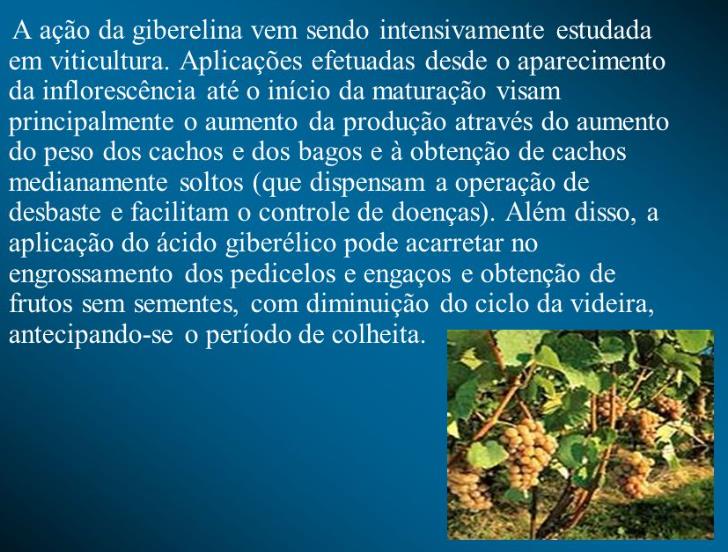 Ácido Giberélico - Giberelina - GA3 (+90%) - GA3 - Ácido Giberélico - Hormônio Vegetal - Imagem 6