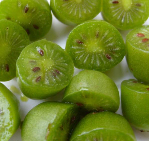 Actinidia arguta 'Issai' - Mini-Kiwi (auto-fértil), Mini Kiwi Resistente 'Issai' - Imagem 6