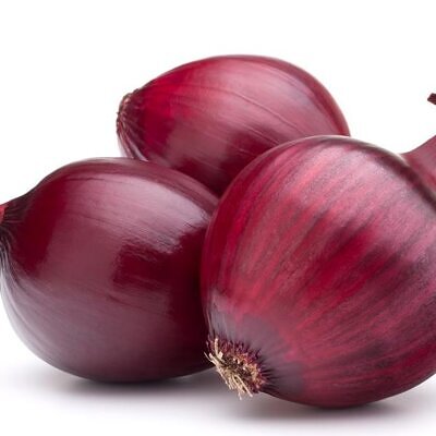 Allium cepa Rouge Foncee de Hollande (C.O) - Cebola Vermelha Escura da Holanda, Cebola Vermelho Vinho Brunswick
