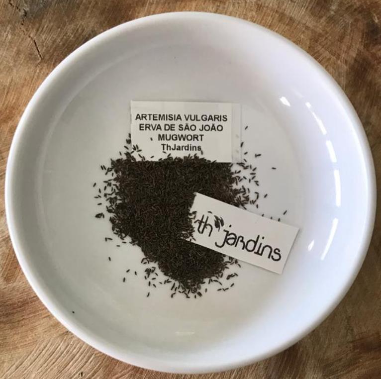 Artemisia vulgaris - Erva de São João, Artemísia Verdadeira, Erva dos Viajantes, Mato dos Sonhos, Mug - Imagem 8