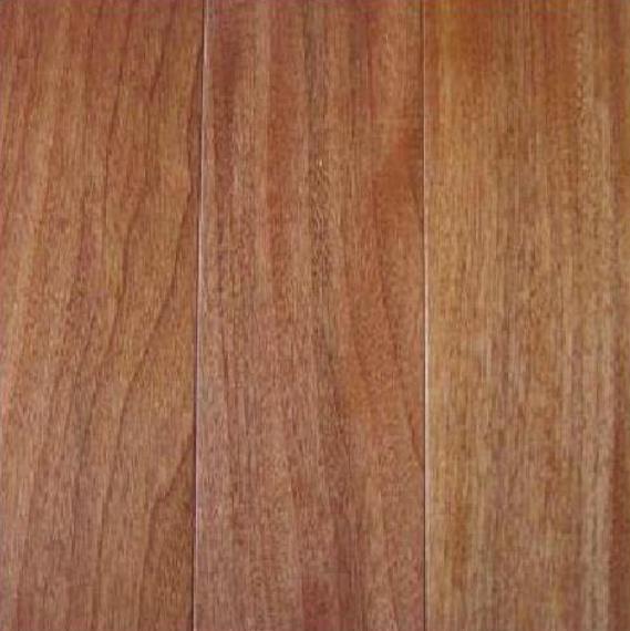 Chukrasia tabularis - Cedro Branco, Mogno Indiano, Sequoia Indiana, Amêndoa da Birmânia - Imagem 11