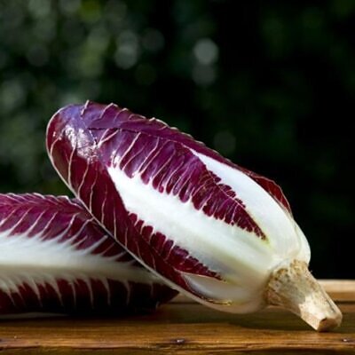 Cichorium Intybus Rossa Di Treviso - Endívia Italiana Roxa, Chicória Roxa De Treviso, Radicchio