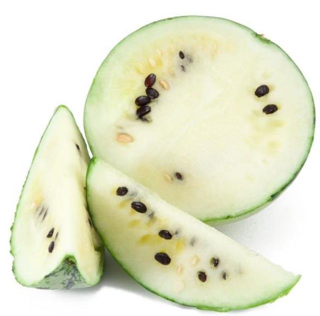 Citrullus lanatus Cream of Saskatchewan - Melancia Creme de Baunilha da Rússia, Melancia Creme de Saskatchewan - Imagem 4