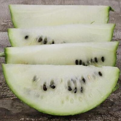 Citrullus lanatus White Wonder (Certificaçâo Orgânica) - Melancia Branca, Melancia Baunilha, Melancia White Wonder