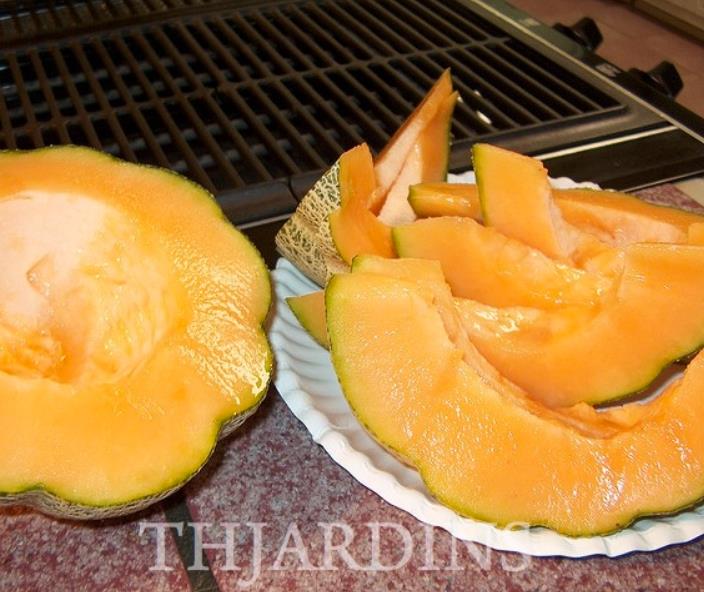 Cucumis melo coração de ouro - Melão Cantaloupe Coração de Ouro - Imagem 3