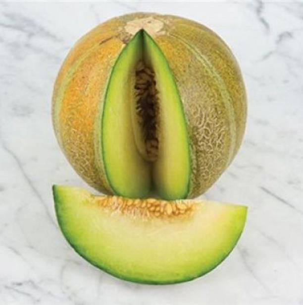Cucumis melo Ha'Ogen (Certificação Orgânica) - Melão de Israel, Melâo Ha Ogem, Mini Melão Kibbutz, Melâo HaOgem - Imagem 4