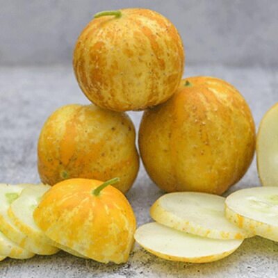Cucumis melo Lemon Cucumber - Melão Pepino Doce