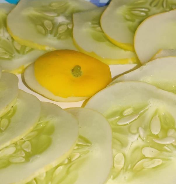 Cucumis melo Lemon Cucumber - Melão Pepino Doce - Imagem 6
