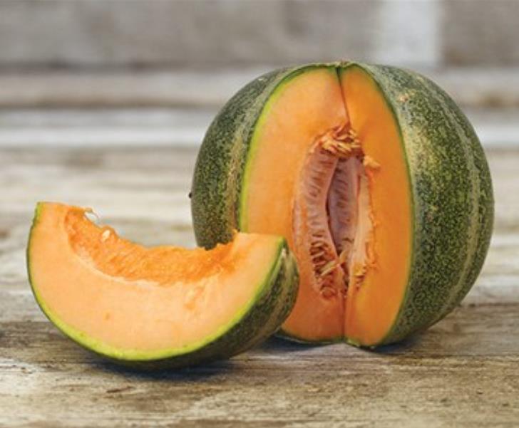 Cucumis melo Petit Gris de Rennes - Melão Francês Gourmet, Melão Heirloom Petit Gris de Rennes - Melão Relíquia Fran - Imagem 3